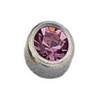 Rossan Birthstud October Stainless Steel FD3049