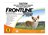 Frontline Plus Dog 0 10kg Small 6 Pack