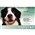 Capstar  Green Flea Tablets for Dogs over 11-57kg