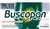Buscopan 10mg 20 Tablets